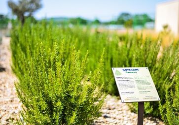 l'occitane mediterranean garden tour in manosque